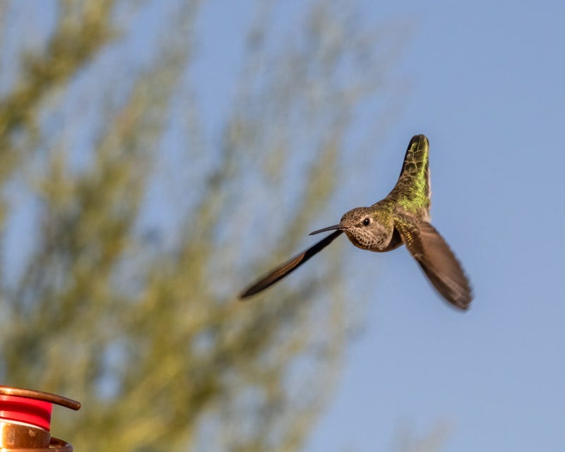 20240911-MBY-29-Edit.jpg