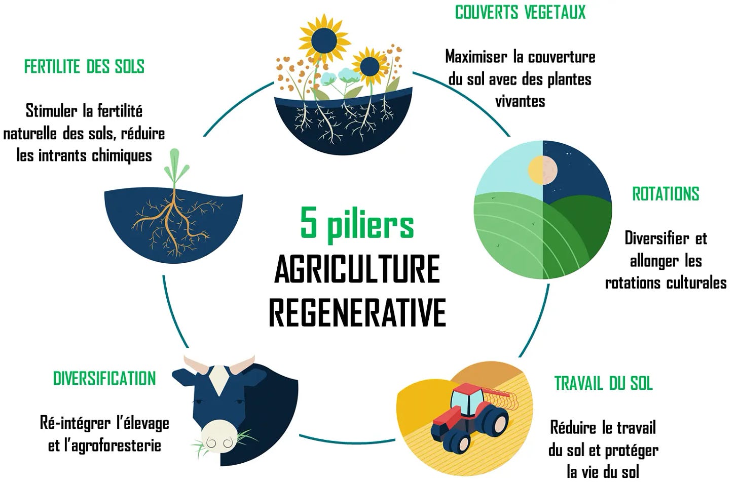 Définition de l'agriculture régénératrice