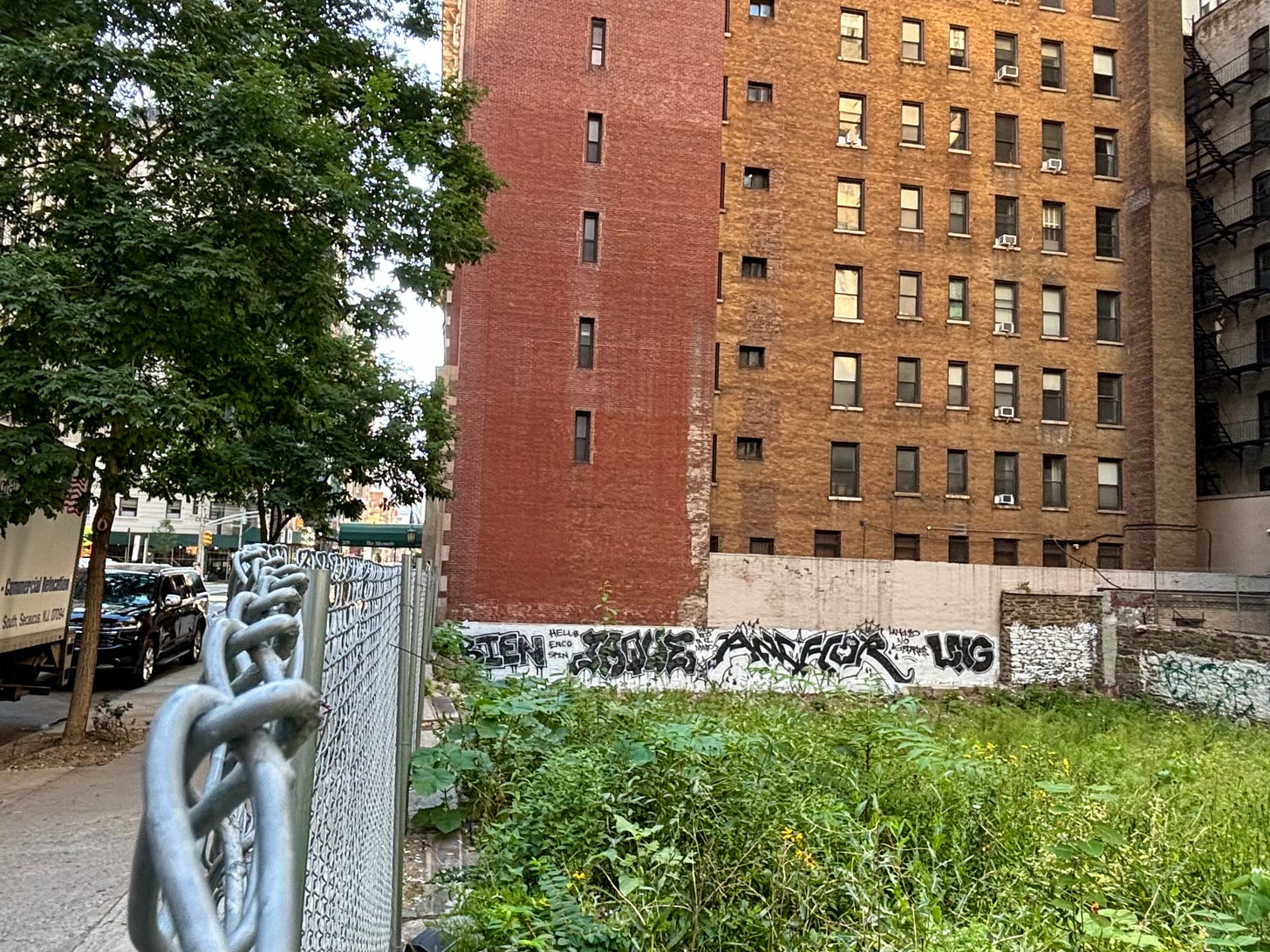 A lot filled with weeds and wildflowers behind two brick buildings behind a chainlink fence.