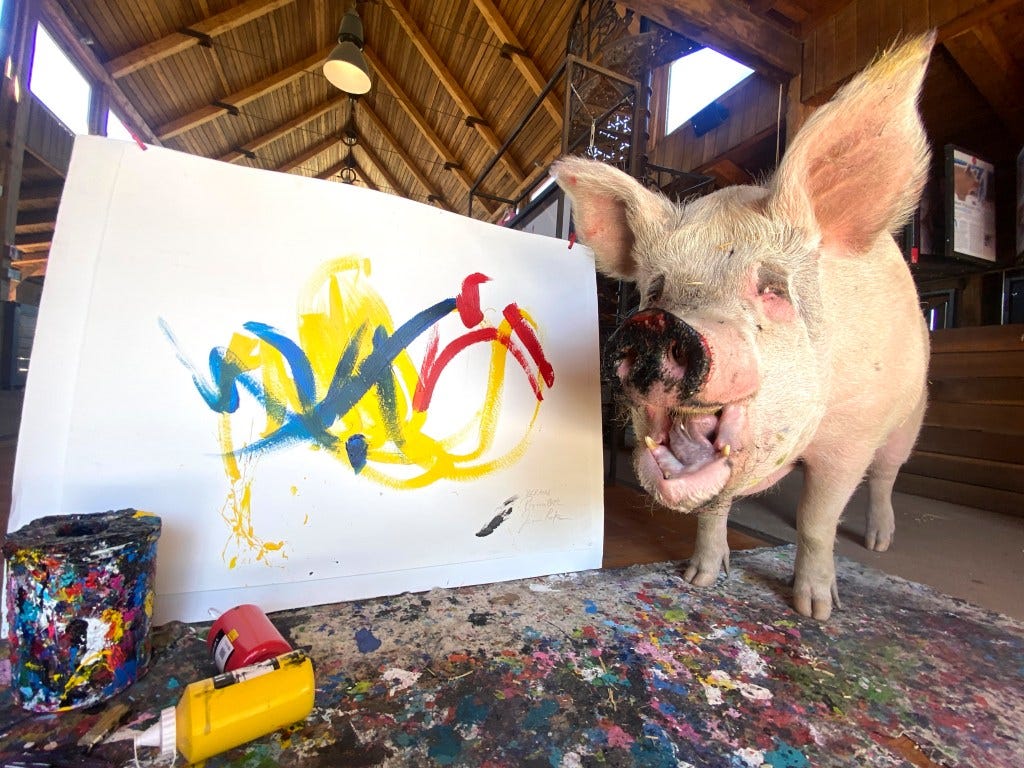 Pigcasso with painting. 