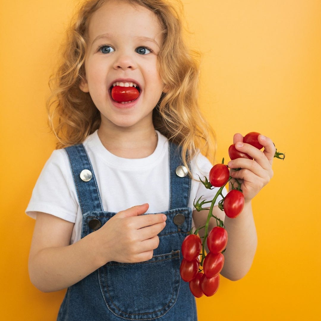 a little girl holding a bunch of tomatoes a little girl holding a bunch of tomatoes