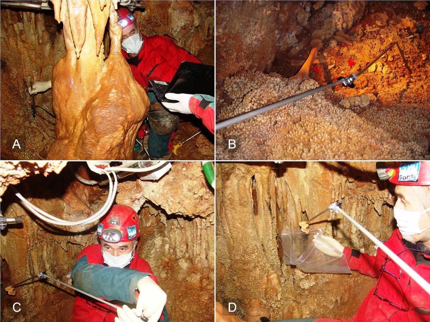 Four panels showing a researcher in cave gear reaching around a calcite curtain and into a deep cave area with hominin bones exposed, using a long pole attached to multiple joints. Four panels showing a researcher in cave gear reaching around a calcite curtain and into a deep cave area with hominin bones exposed, using a long pole attached to multiple joints.