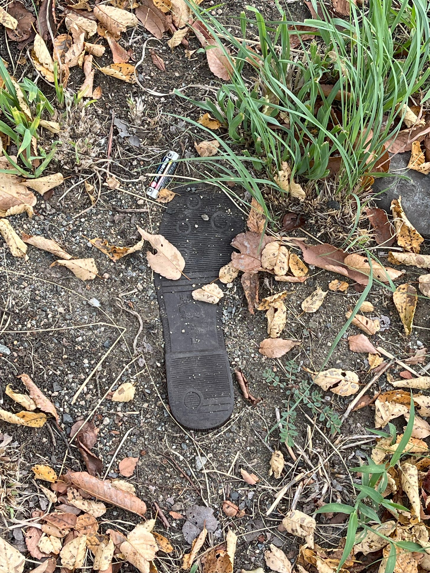 A photo of the sole of a shoe with "Made in Japan" on it. The sole of the shoe is in the dirt among leaves and grass and next to a battery.