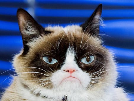 New Grumpy Cat Coin Launches on Solana Network with Philanthropic Mission