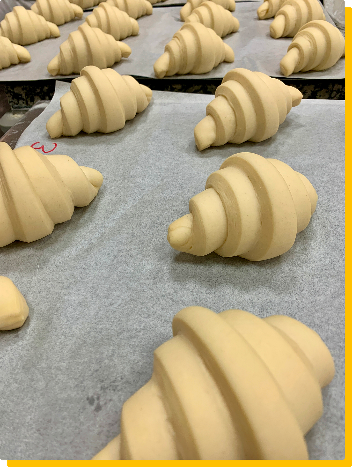 Photo of proofed croissants before baking