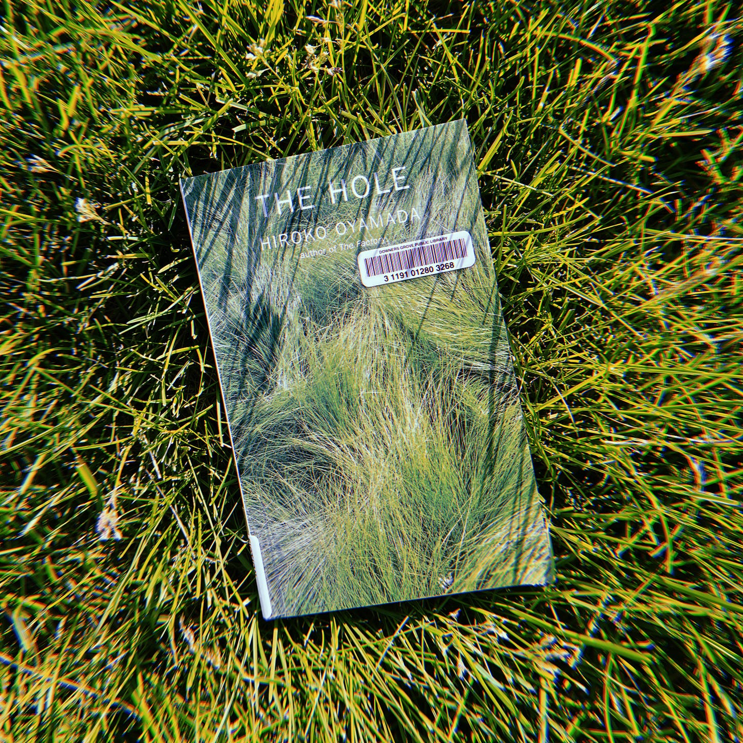 A photo of a book, The Hole by Hiroko Oyamada, in grass.