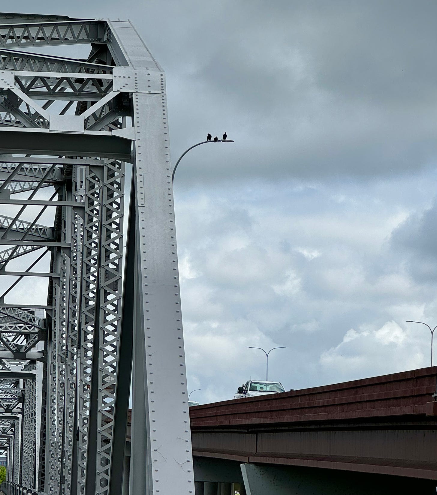 Three vultures on lamppost between bridge and tollway overpass