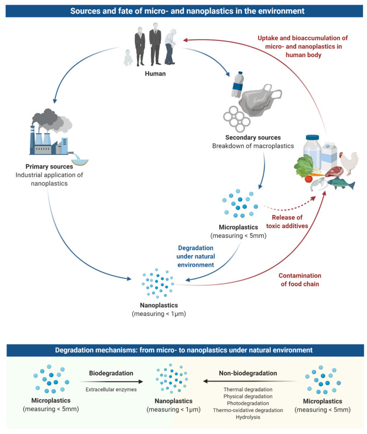 An external file that holds a picture, illustration, etc.
Object name is nanomaterials-11-00496-g001.jpg