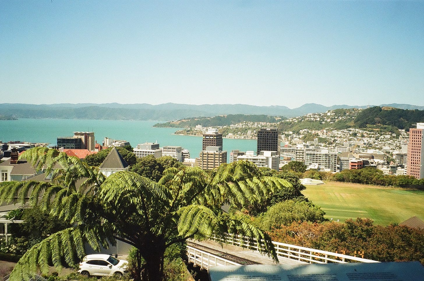 Wellington New Zealand must do see where to eat by food and travel writer Courtney Jill Bishop.