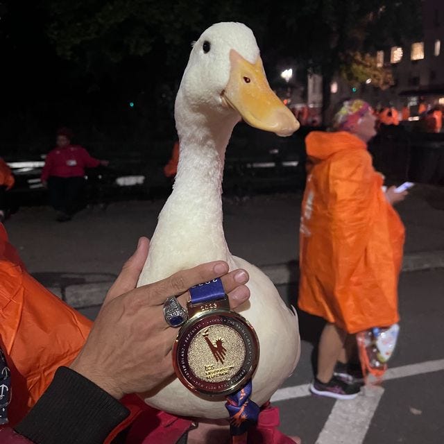 a person holding a duck
