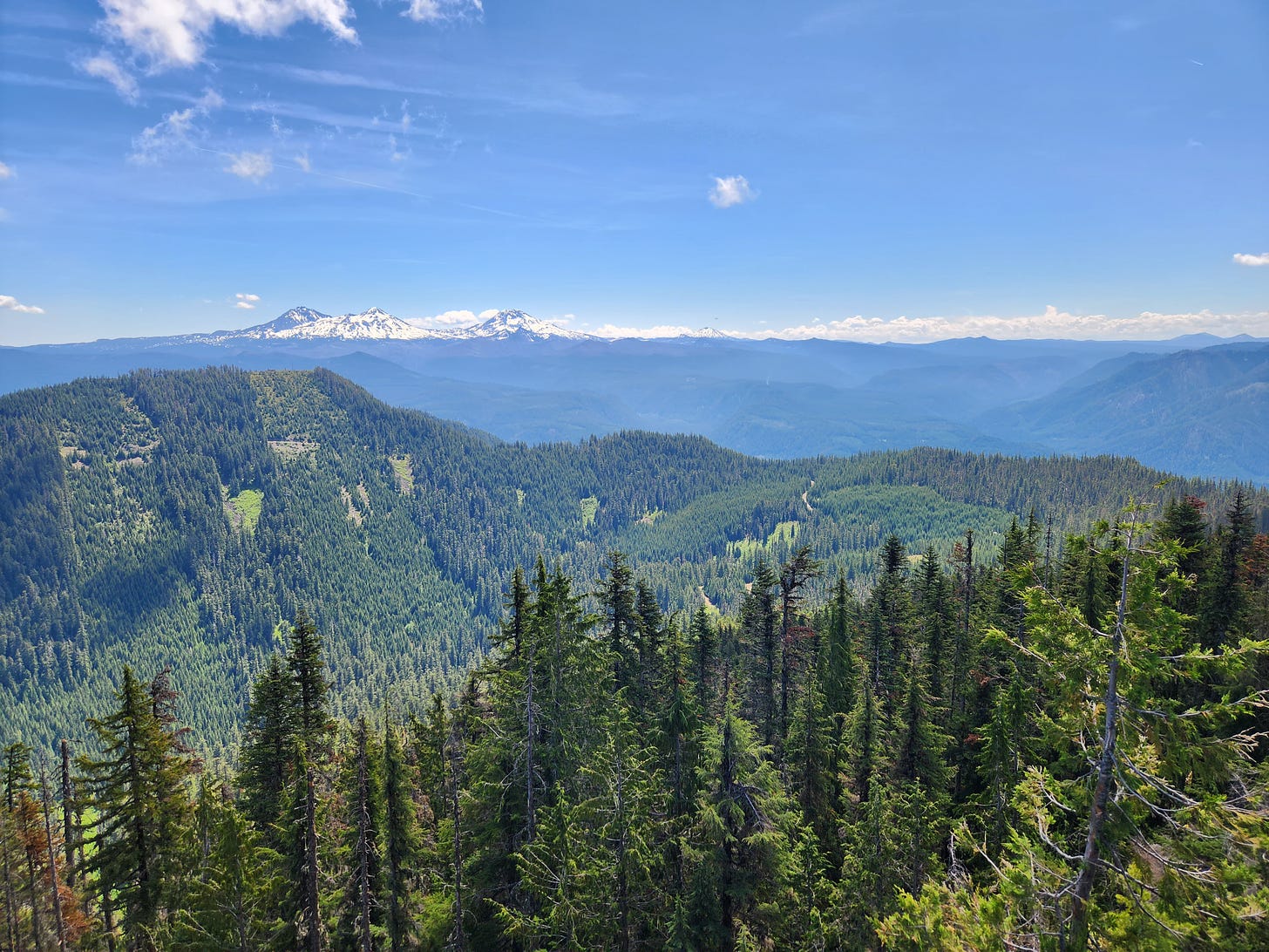 landscape view from ridge across forested valley with mountains in background