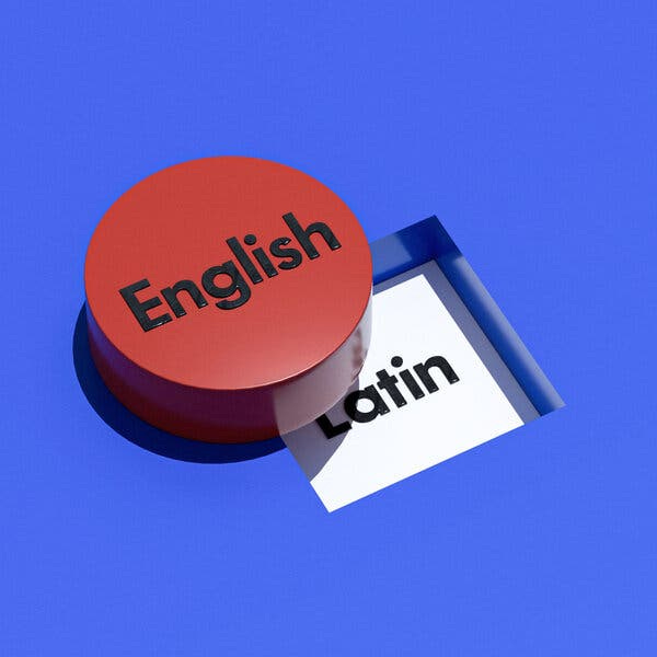 A photo illustration of a round token with “English” written on it failing to fit in a square space with “Latin” written on it.
