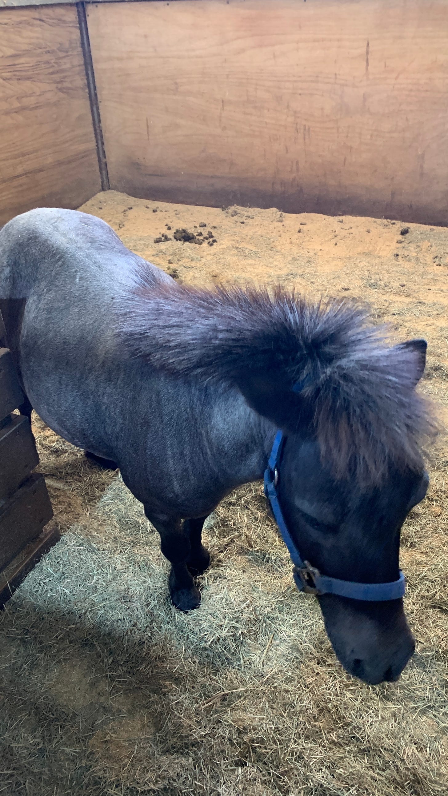 Barn Life: A Hands-On Experien