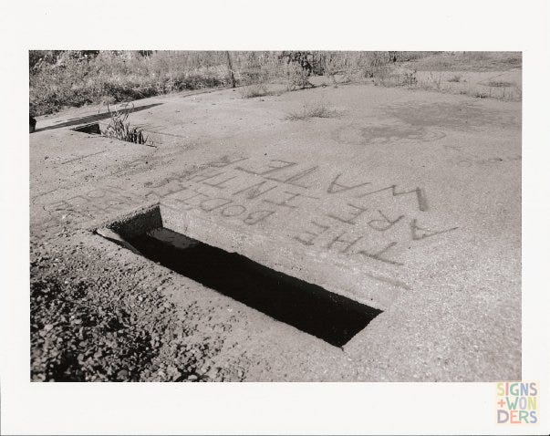 ID: Black and white photo print of an in-ground water trough, with the graffiti “the bodies are in the water” spraypainted beneath it.