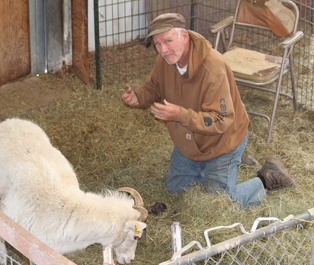 Arthur Schubarth, 80, pleaded guilty to illegally creating hybrid sheep