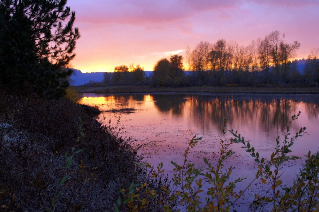 Evening on the lake