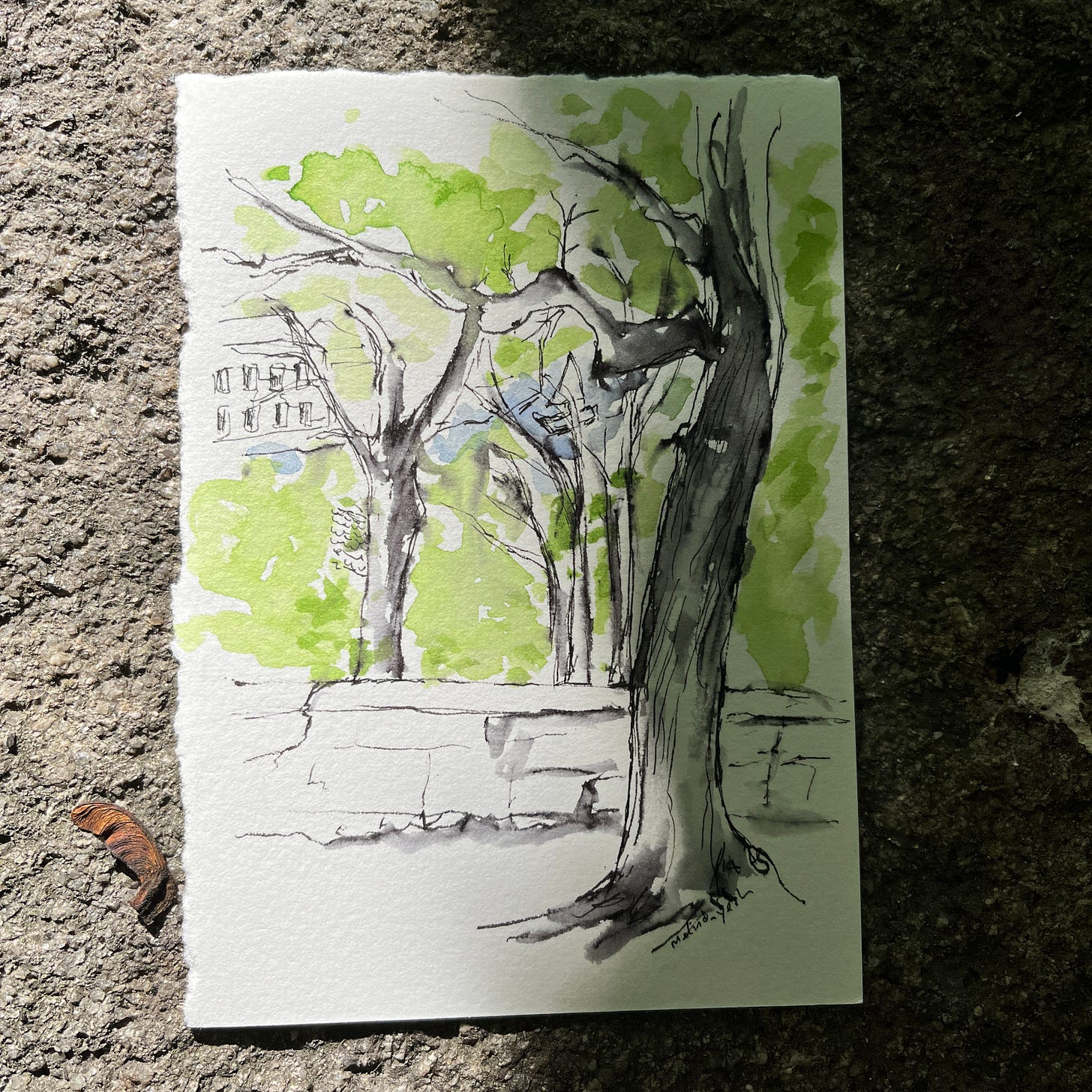 image: photo of an ink & wash outdoor sketch of nature landscape. Lush trees, Duoro river, building in the background. This scene is from Crystal Palace, Porto.