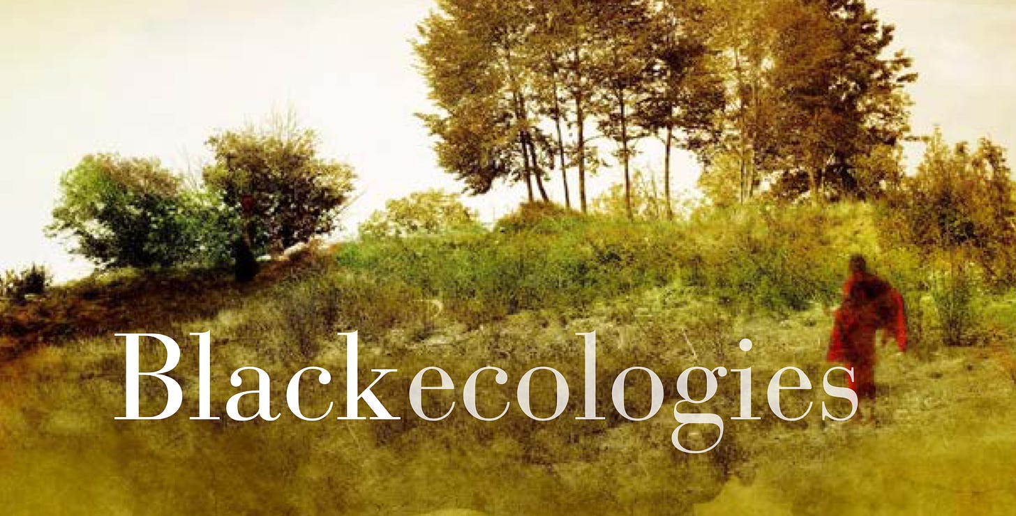 The cover of the Blackecologies zine. A Black person dressed in red walks through a landscape. The word "Blackecologies" is superimposed.