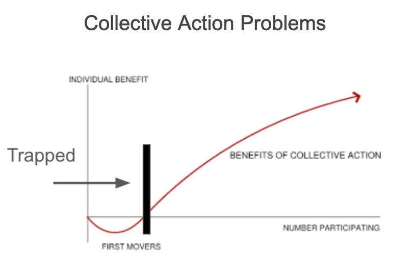 figure describing collective action problems