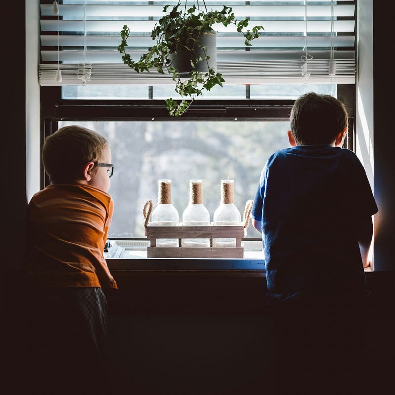 Two brothers looking out of a window.