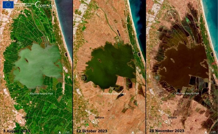 Copernicus satellite images Laguna Albufera