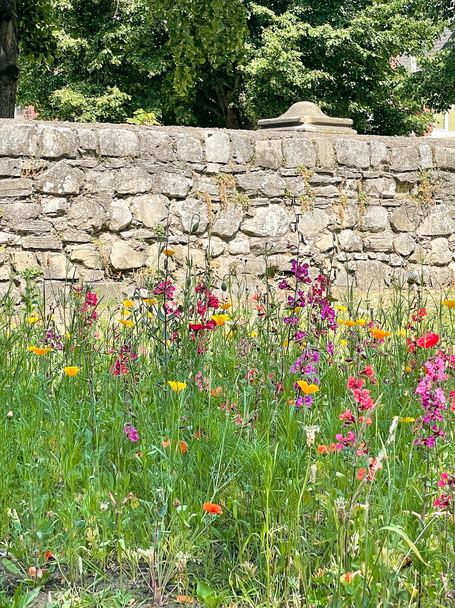 The hottest day on record in York, England.