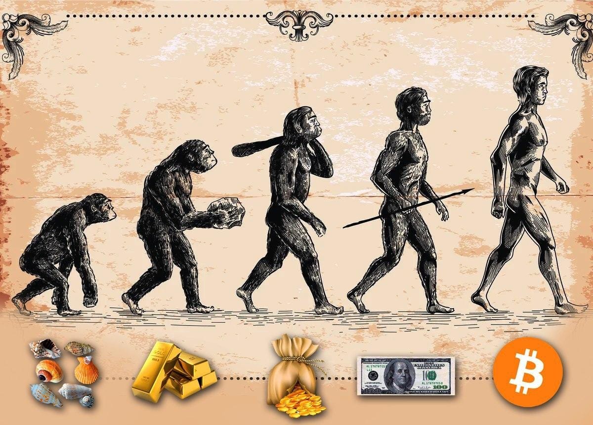 Evolution of Finance by Darwin. The era of decentralized finance. The… | by  Crypto A | crypto a | Medium