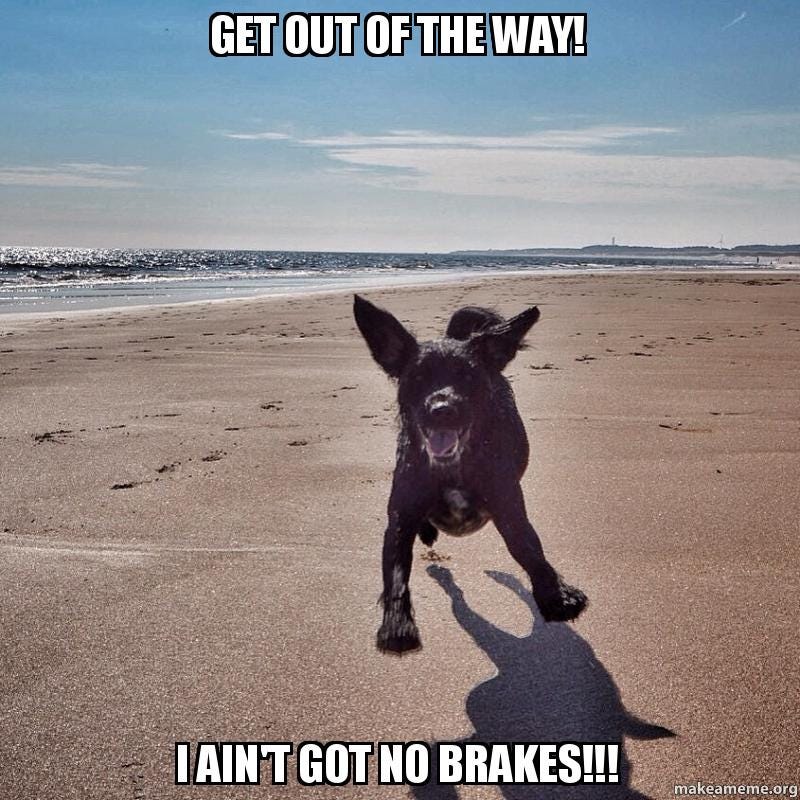 Get out of the way! I ain't got no brakes!!! - Marleyshift | Make a Meme