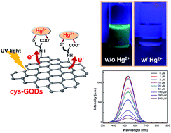 Graphical abstract: Facile synthesis of cysteine–functionalized graphene quantum dots for a fluorescence probe for mercury ions