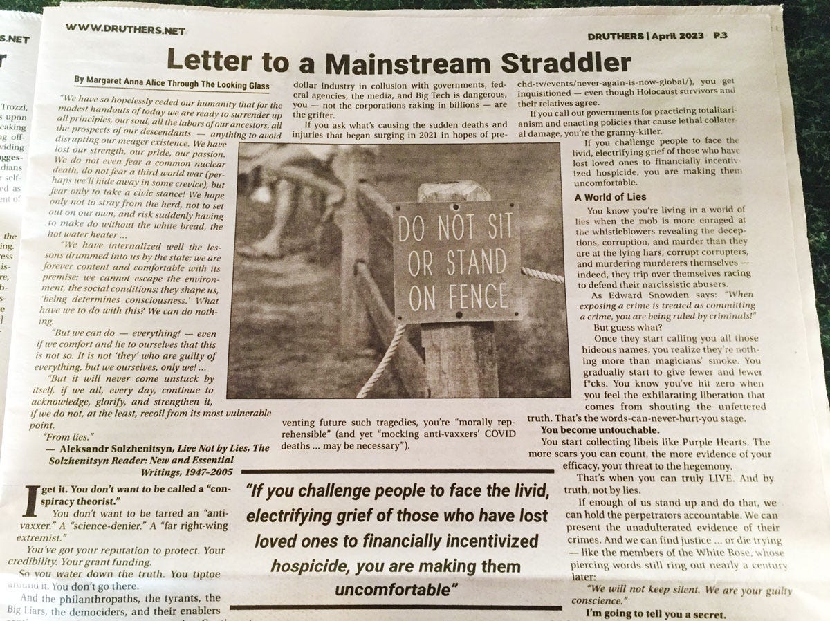 Letter to a Mainstream Straddler in Druthers Newspaper (Ontario, Canada)