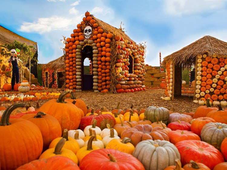 Best Pumpkin Patches in Los Angeles for Halloween Fun