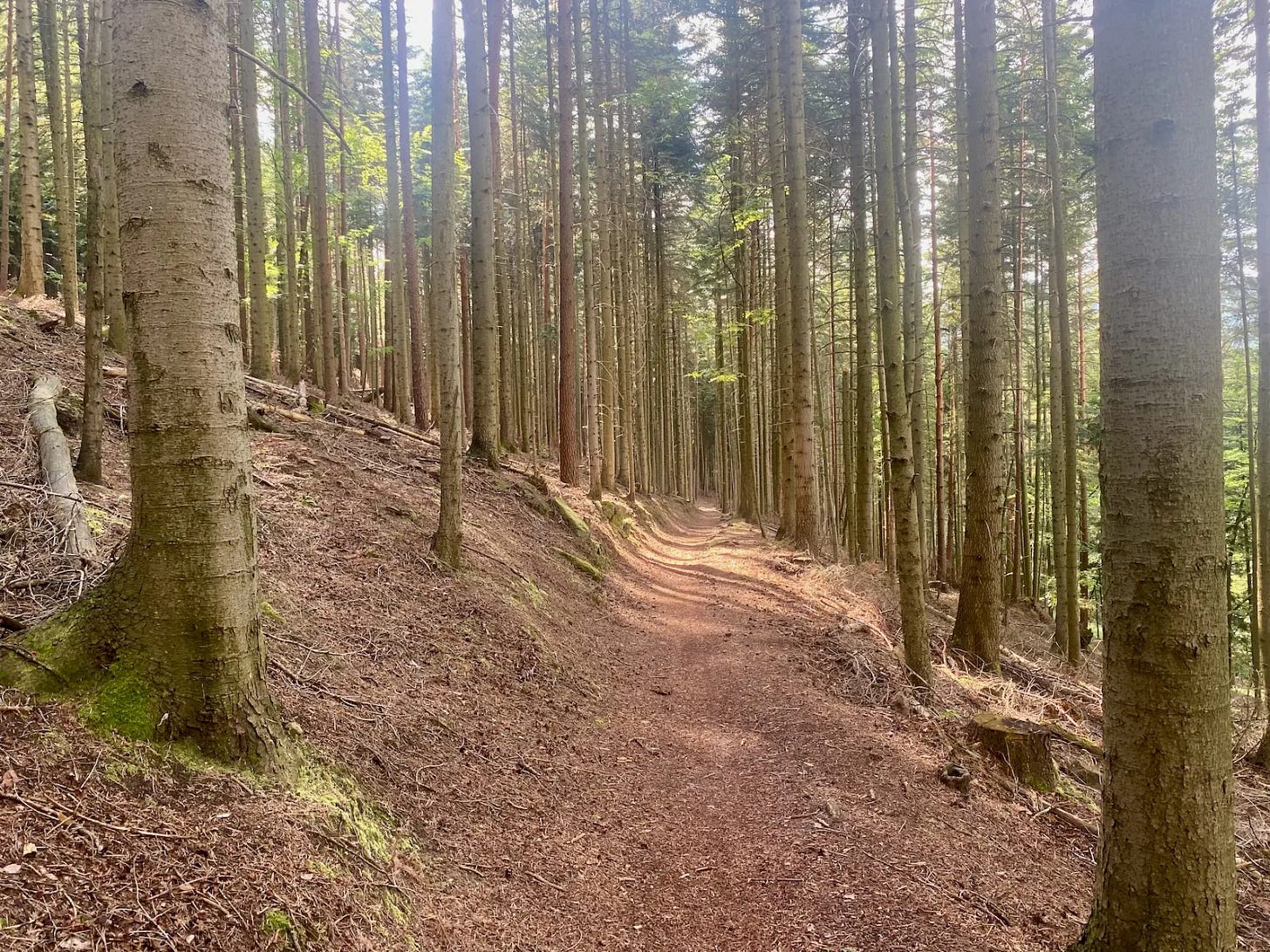 J2, avant Saverne J2, avant Saverne