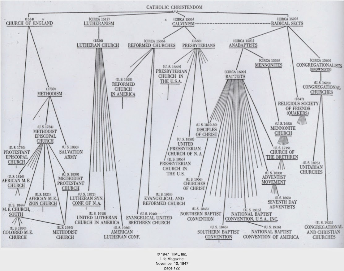 Family Tree of Protestantism -- Branches of Catholic Christendom - AR15.COM