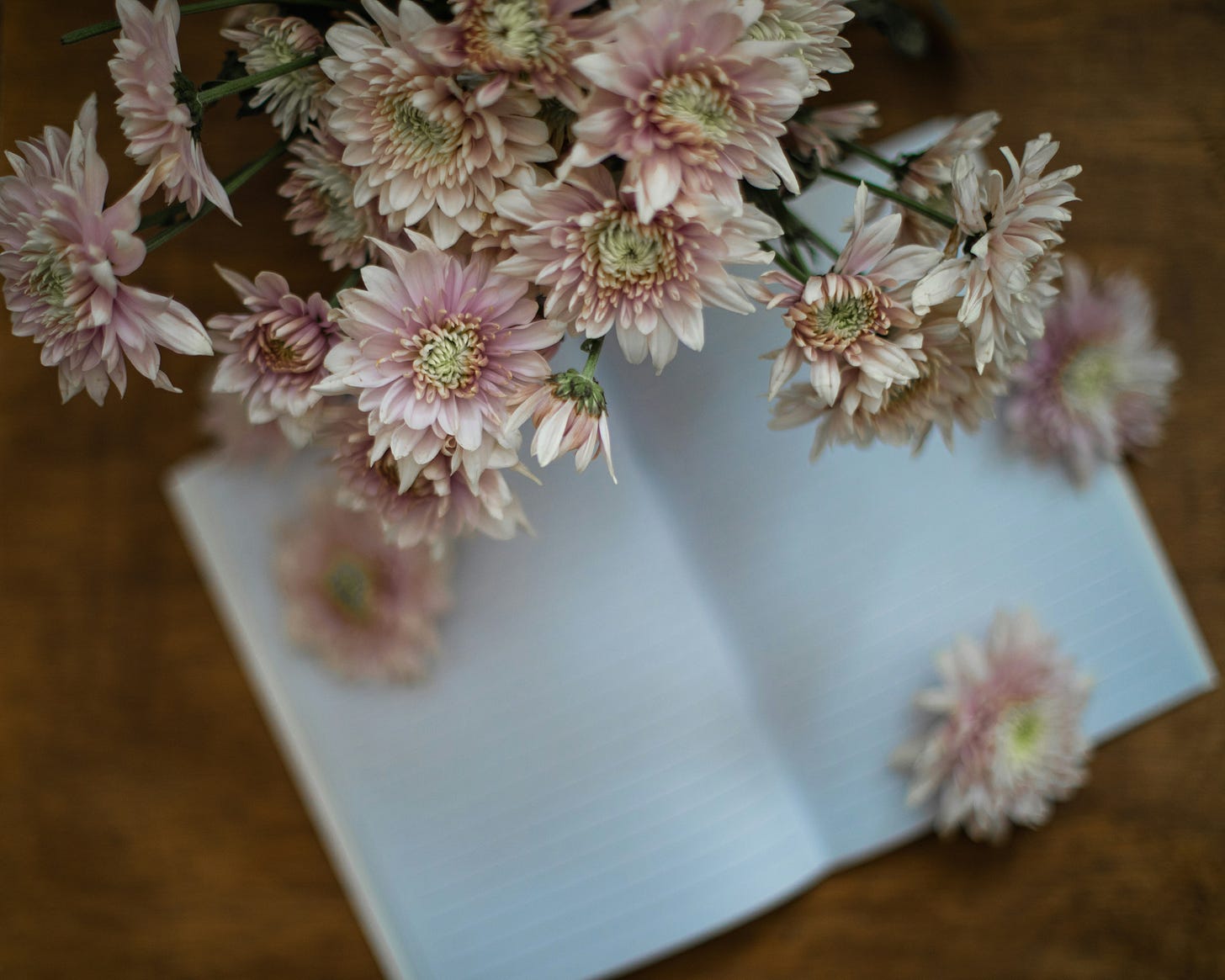photo of pink flowers and journal photo of pink flowers and journal