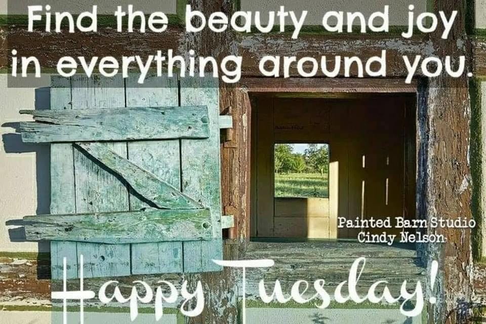 May be an image of text that says 'Find the beauty and joy in everything around you. Painted Barn Studio Cindy Nelson Happy Tuesday'