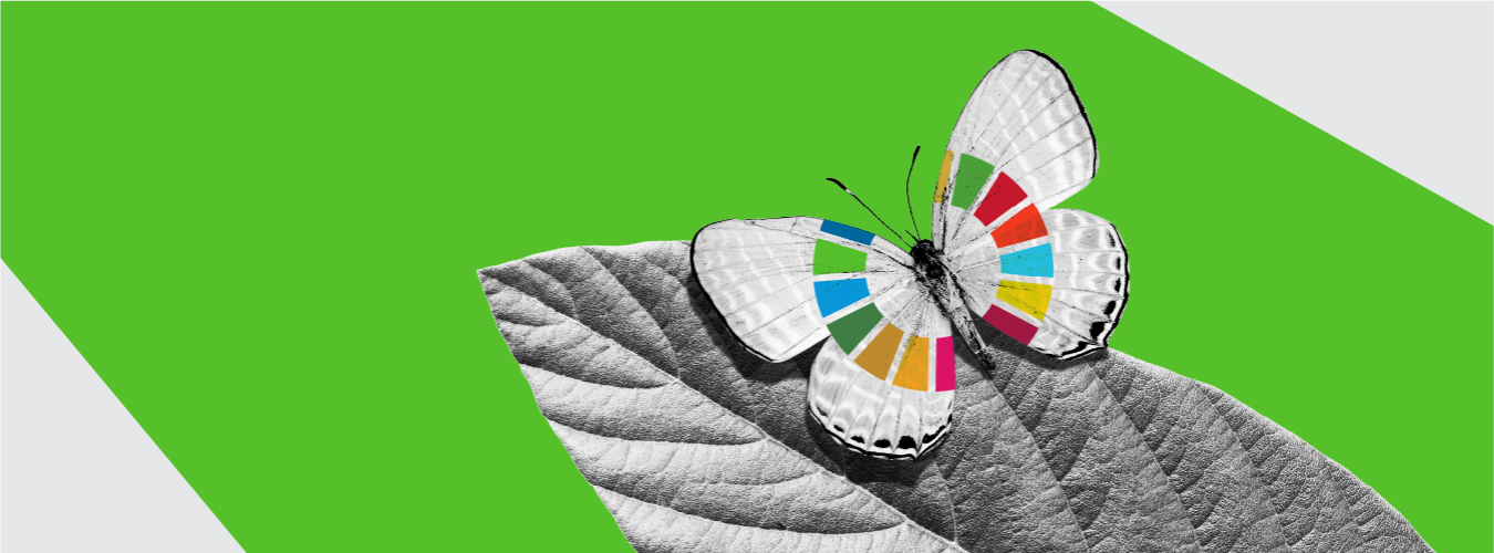 Ilustración de una mariposa en un fondo verde