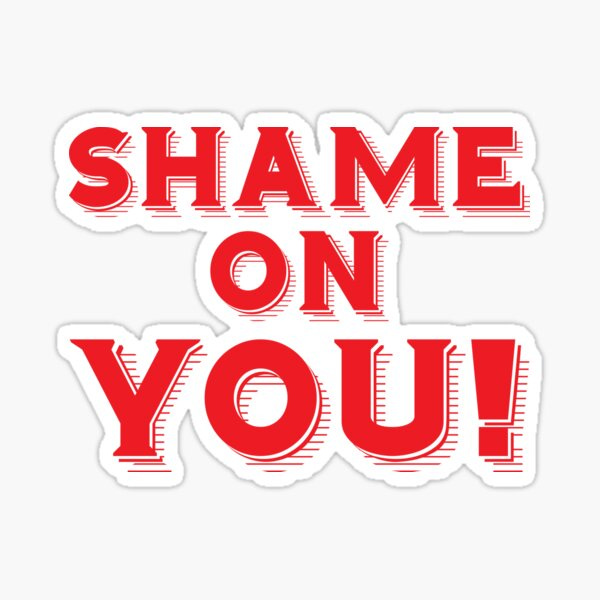 Shame On You Stickers | Redbubble