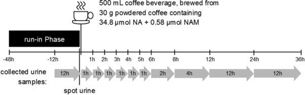 Niacin coffee study