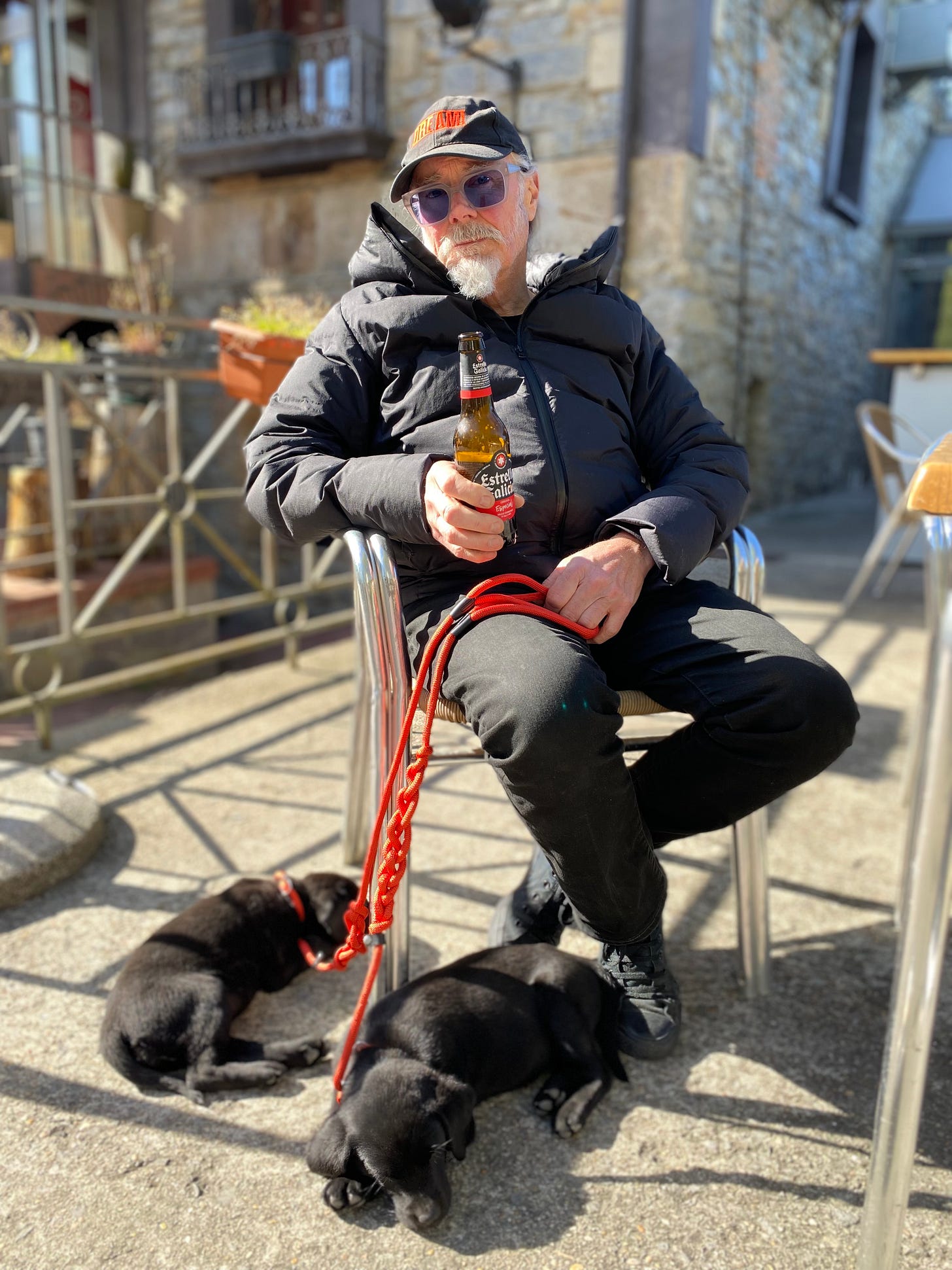 A man with two black labrador puppies