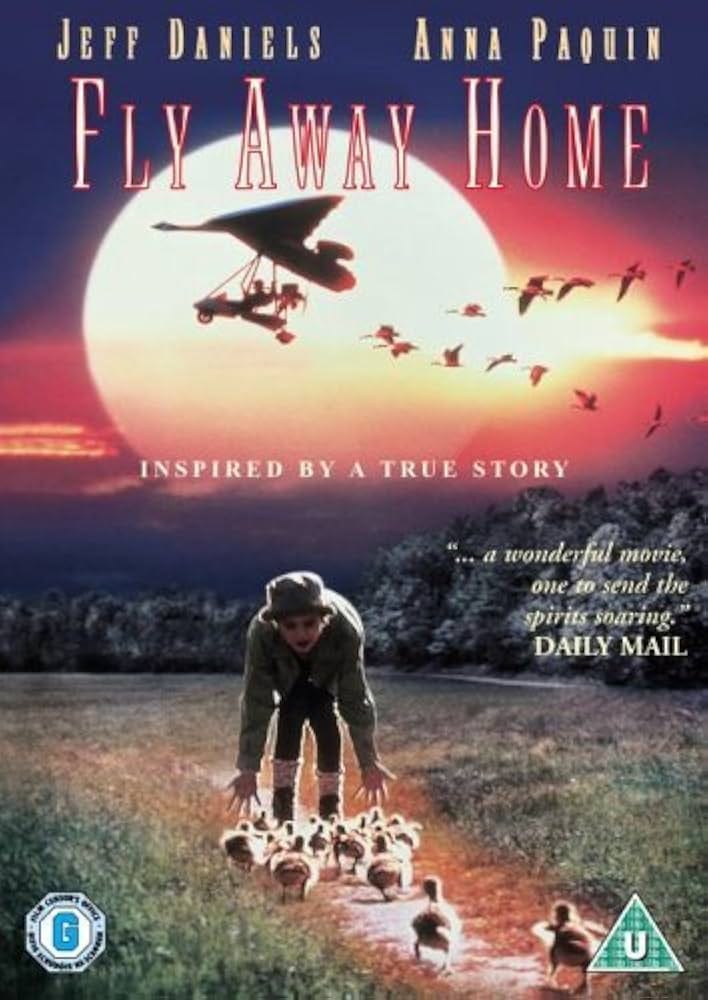 Fly Away Home [DVD]