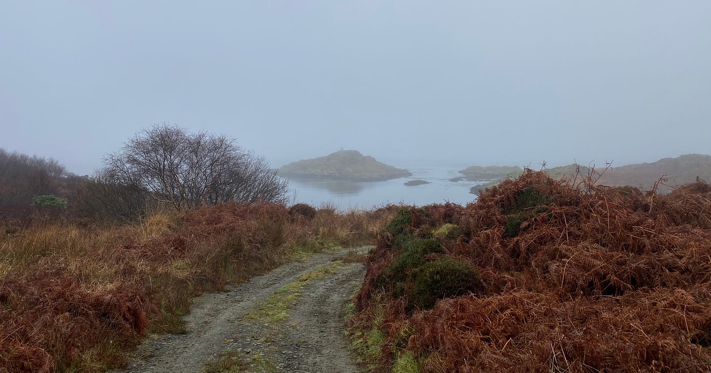 A path surrounded by brush looks down on a bay.  A dense mist softens the appearance of an island off shore.