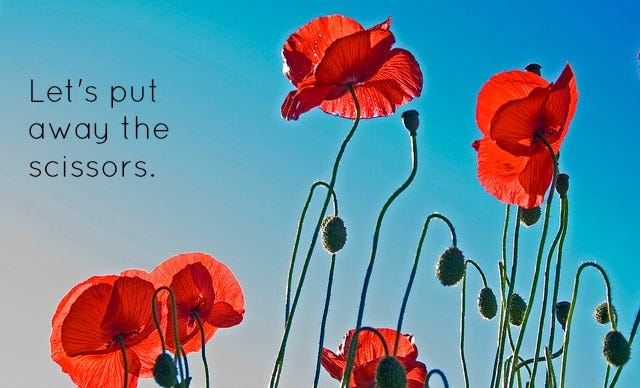 The Tall Poppy Syndrome and the Clobbering Machine | movin2newzealand The Tall Poppy Syndrome and the Clobbering Machine | movin2newzealand