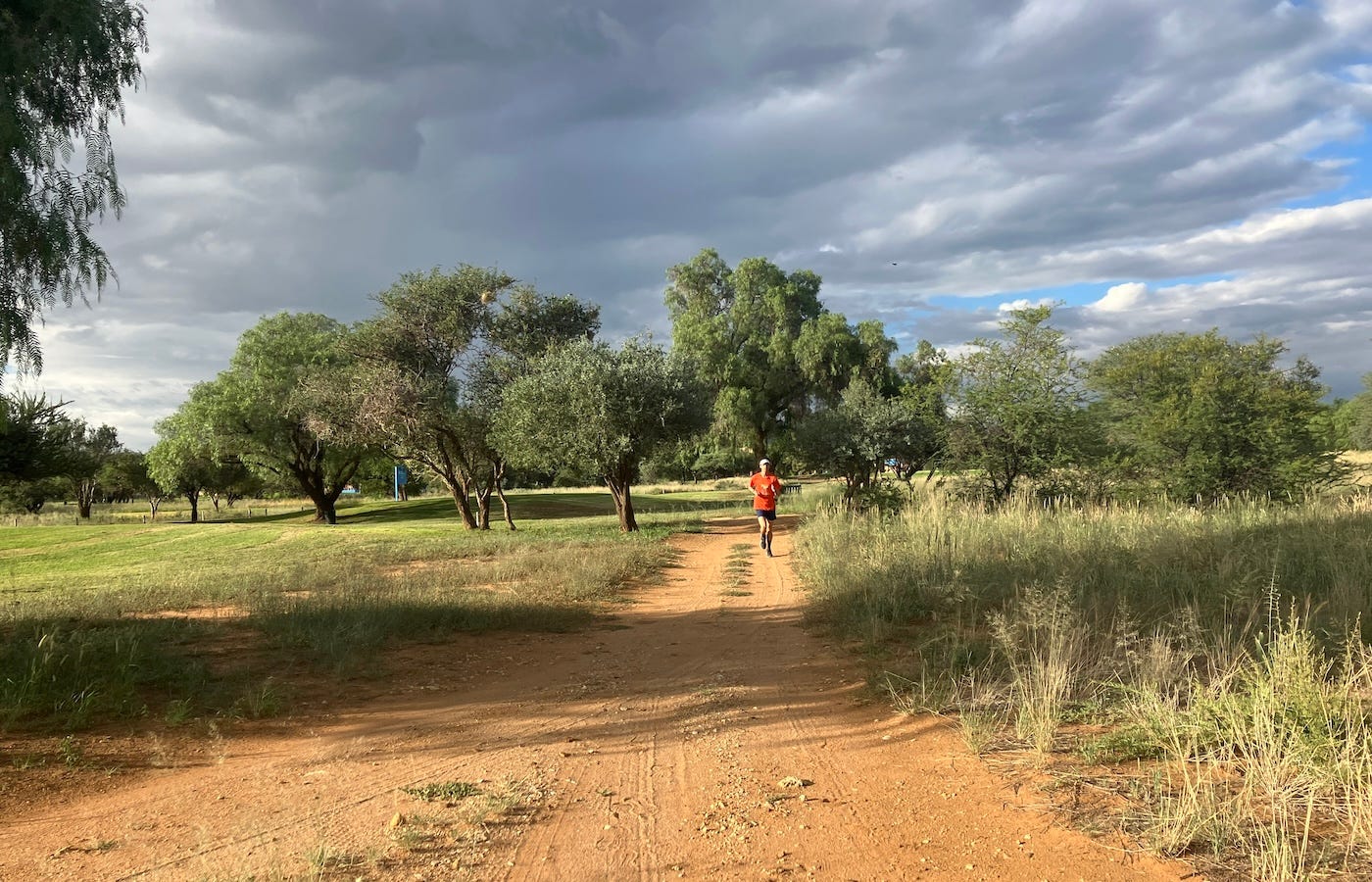 A runner approaching on the other side of a track, trees and a cloudy sky in the distance