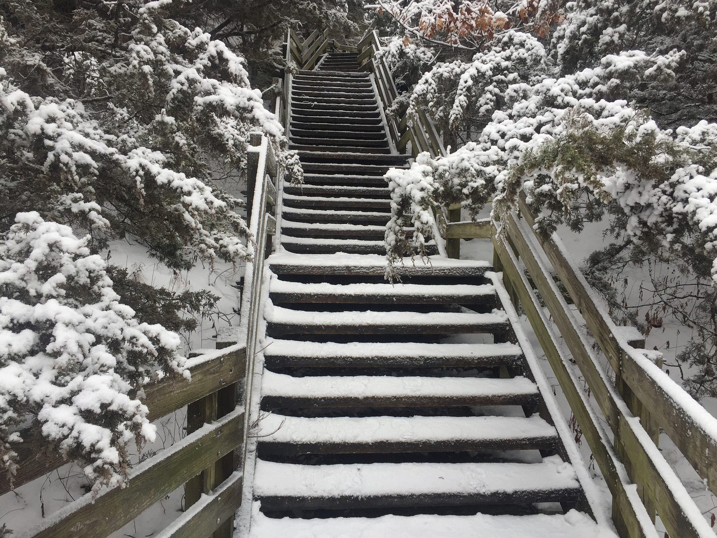 An outdoor wooden staircase covered in fresh snow and flanked on either side by evergreen trees with a dusting of snow.