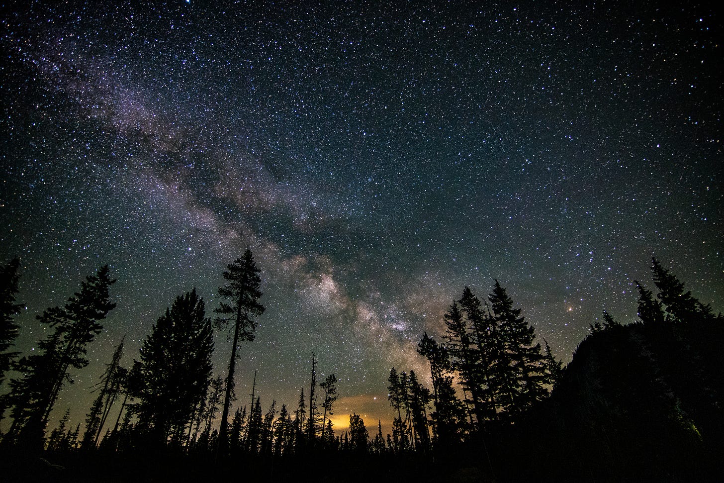 Milky Way sky with a forested foreground
