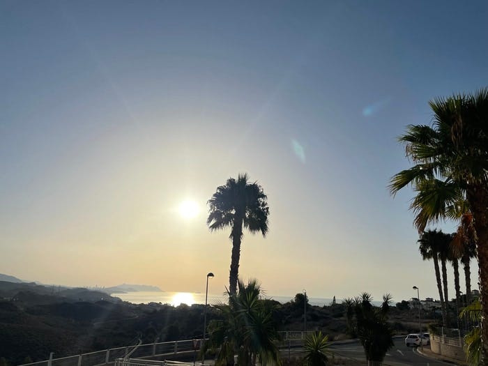 A photo of an early-morning sun with blue sky and palm trees visible.