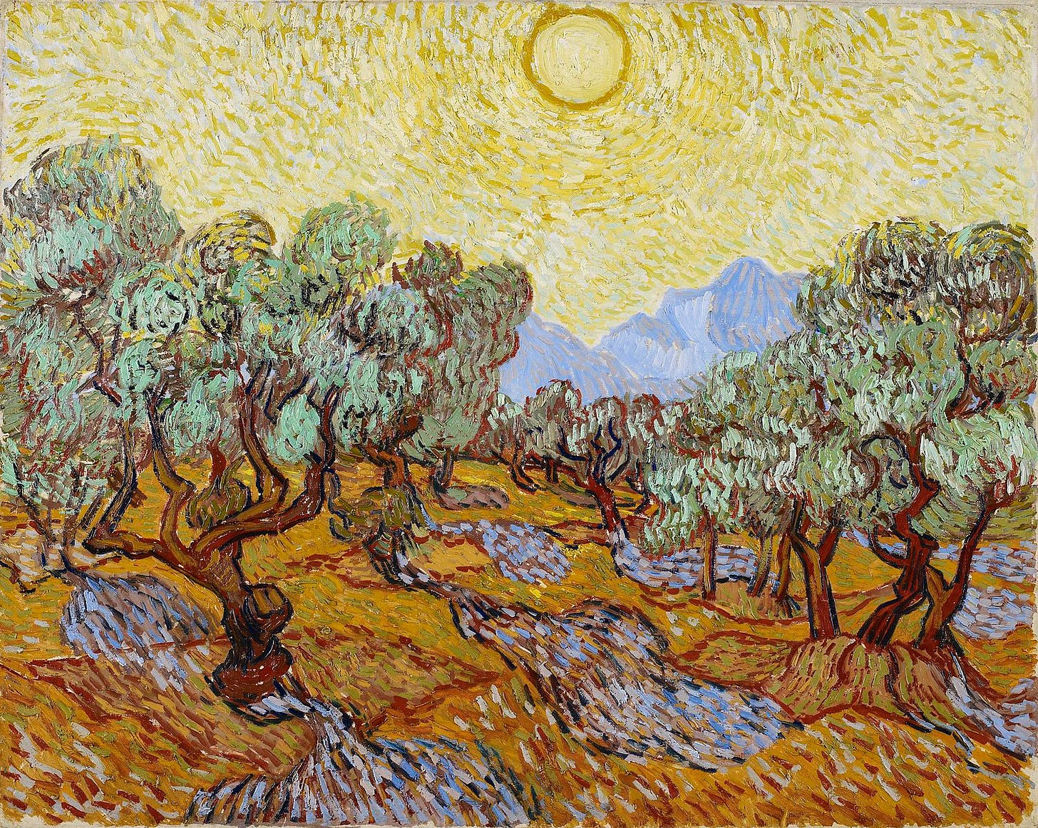 a famous Van Gogh with olive trees and a yellow sky, which he painted during his time at the asylum in St. Remy