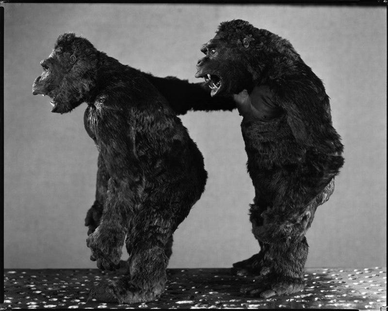 KONG x 2_2 KK puppets Long face short face side 2_Likely 8x10.jpg (82.47KiB)