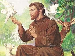 Image result for francis of assisi