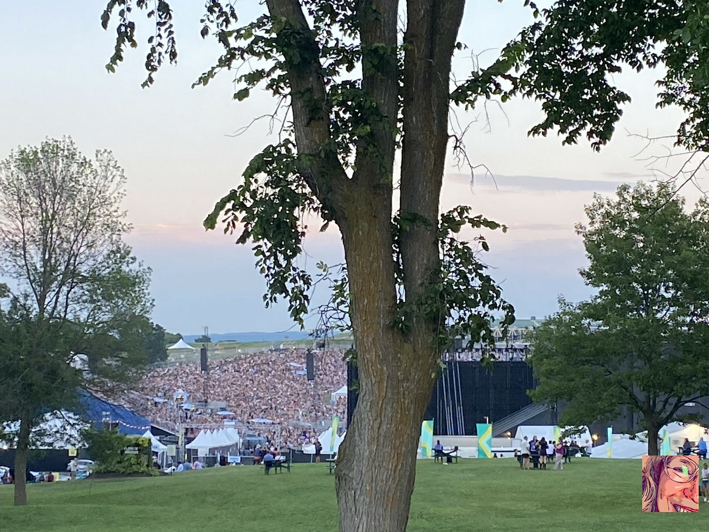 Festival d'été de Québec (crédit photo Phrenssynnes)